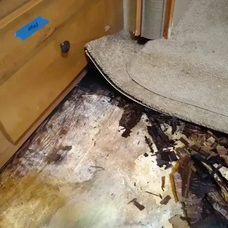 Wood Floor Water Damage in Beechwood, MI